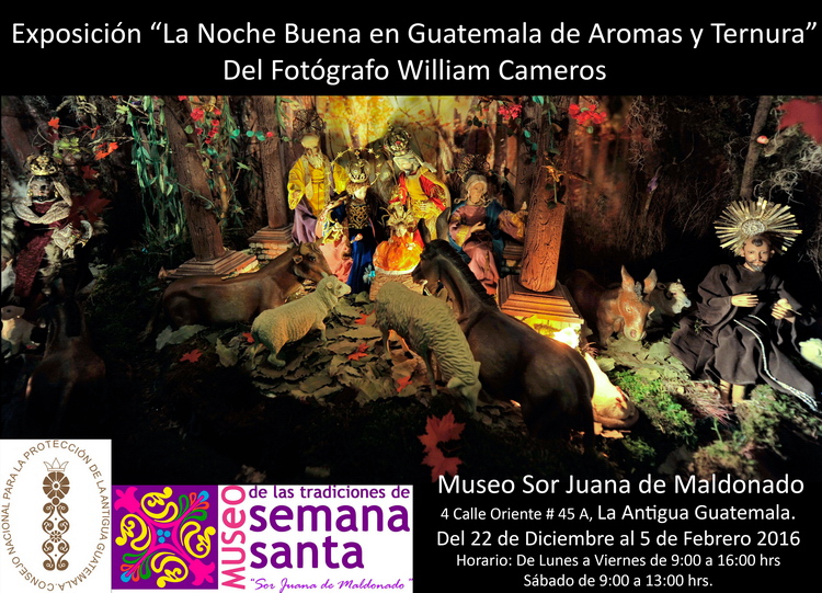 La_Noche_Buena _de Aromas_y_Ternura